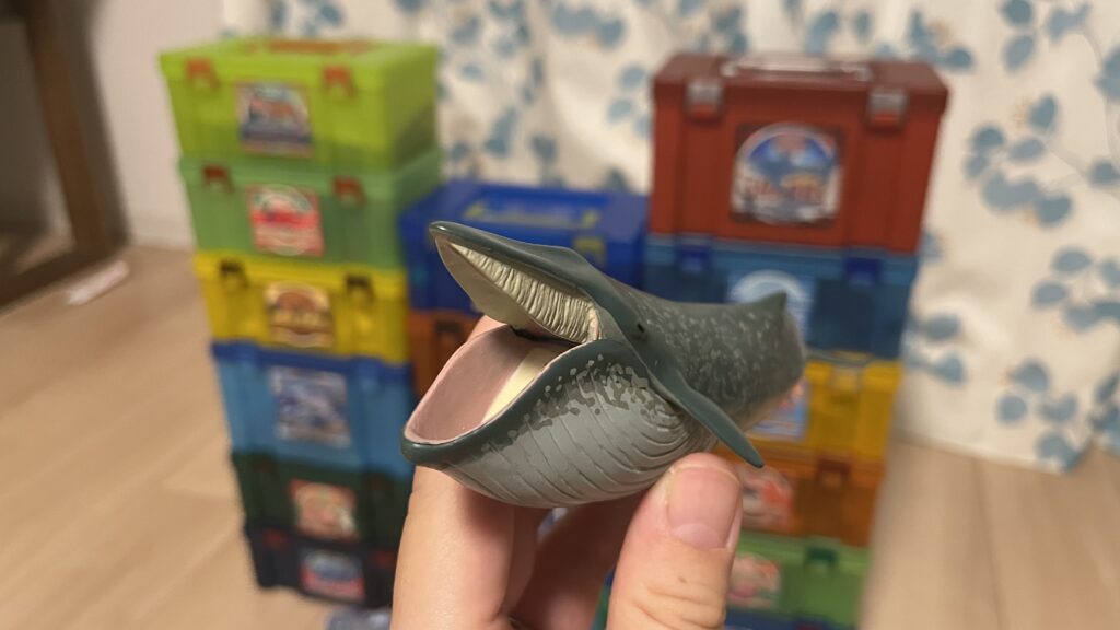 口を開けたシロナガスクジラ。
下顎のひだが伸びて、一気に海水を吸い込む様子が再現されている。